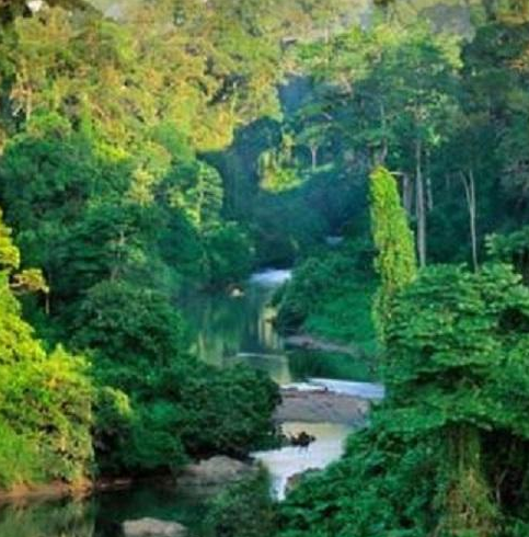 Destinasi Wisata Kalimantan: Menyusuri Keindahan Alam Borneo